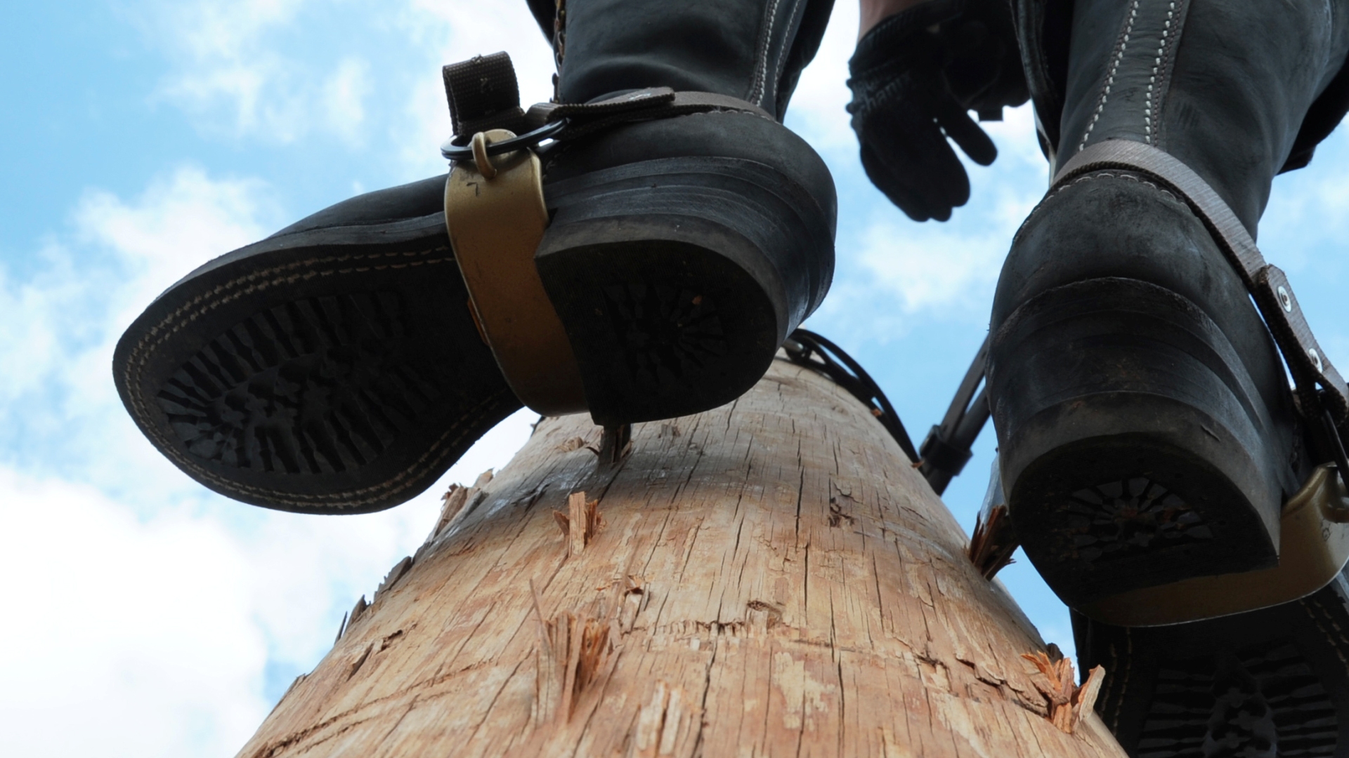 Read more about the article Pole Climbing For Linesmen